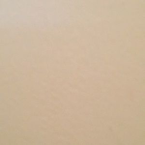 Meet your Posher, Sofia